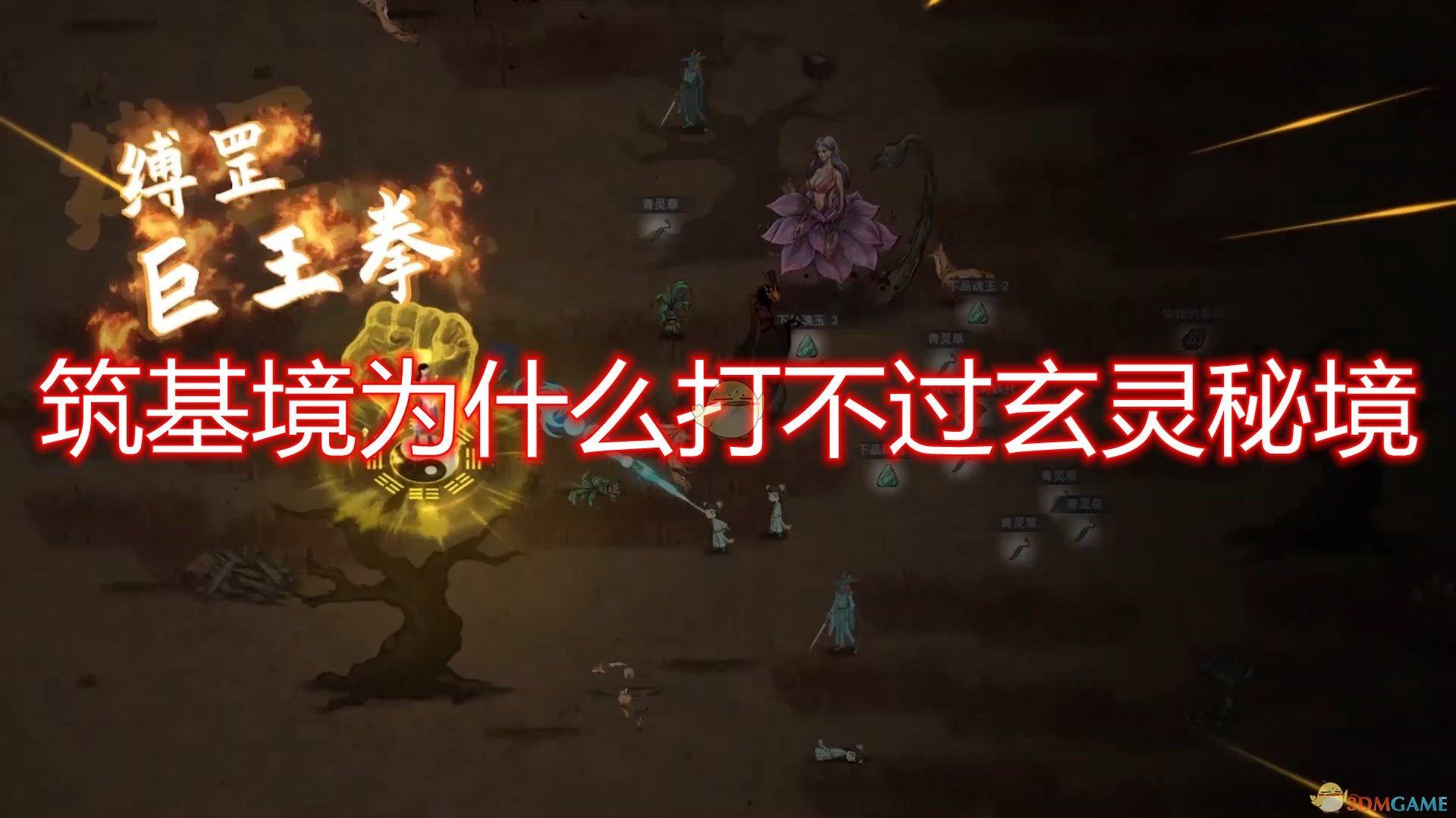 年轻人宠爱B1B2层魔力何在？