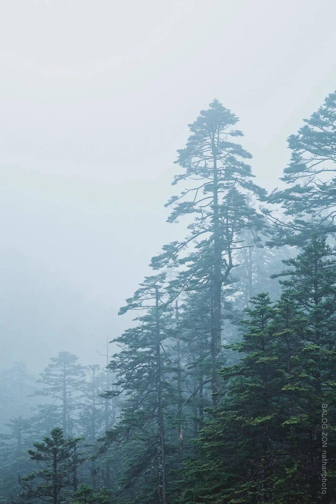 研究发现:走路与寿命之间的关系!过了60岁以后,步数要刚刚好